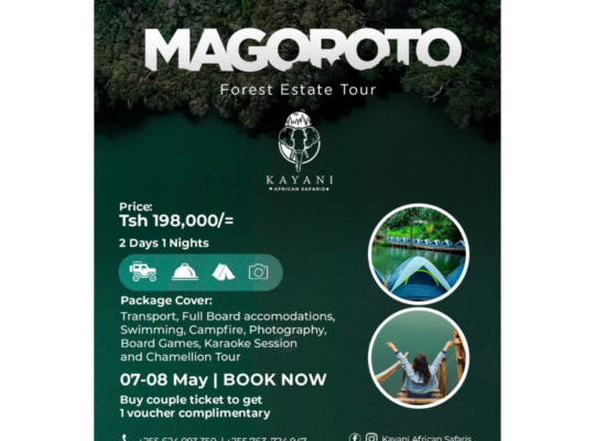 MAGOROTO FOREST ESTATE