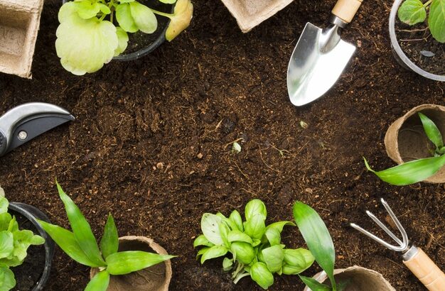 An Accidental Gardener’s Secrets to Successful Gardening