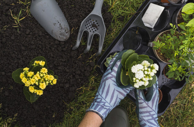 Stuck at Home? It’s Gardening Time!