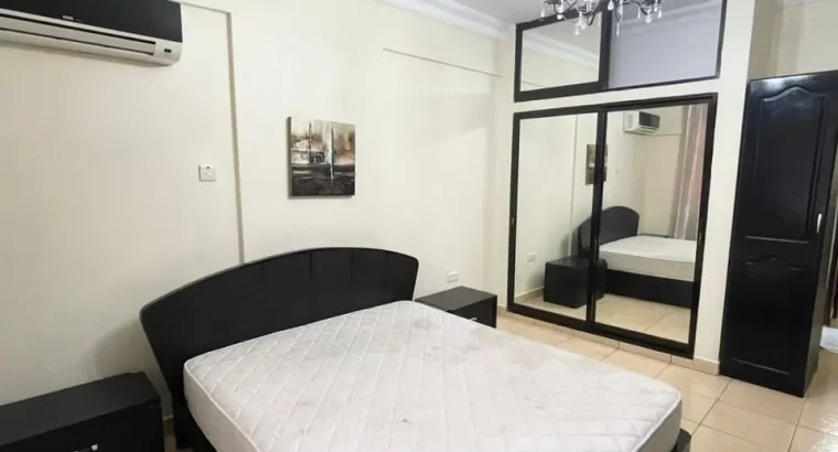 To Let: 3 BDRMS FULLY FURNISHED APARTMENT’ AT SE