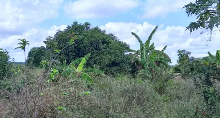 Zinauzwa: EKARI 10, ENEO LA MAKAZI, TSHS. 80 MIL