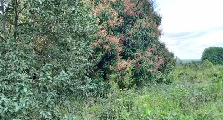 Zinauzwa: EKARI 10, ENEO LA MAKAZI, TSHS. 80 MIL