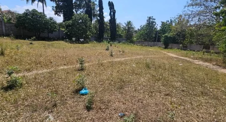 KIWANJA, SQM. 4,000.,KIANAANGALIA LAMI, TSHS.420