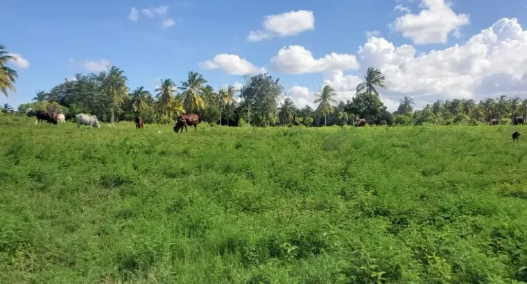 For Sale: 39 ACRES OF A COMMERCIAL BEACH-LAND, $