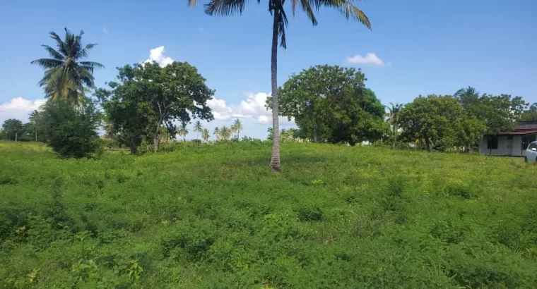 For Sale: 39 ACRES OF A COMMERCIAL BEACH-LAND, $