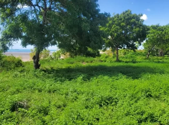 For Sale: 39 ACRES OF A COMMERCIAL BEACH-LAND, $