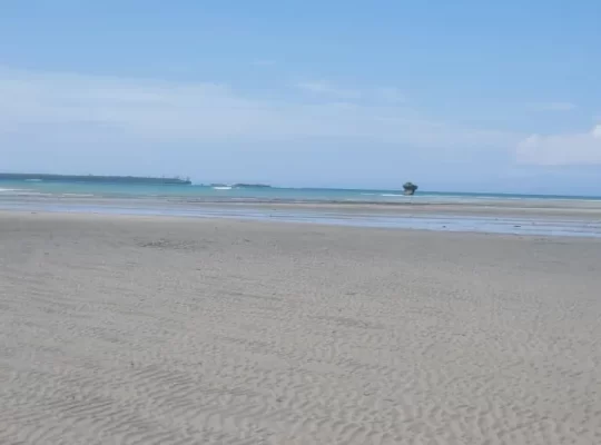 For Sale: 39 ACRES OF A COMMERCIAL BEACH-LAND, $