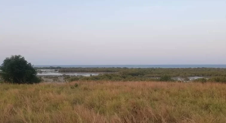 10 ACRES CLIFF-BEACH-FRONT PLOT AT MAPINGA.