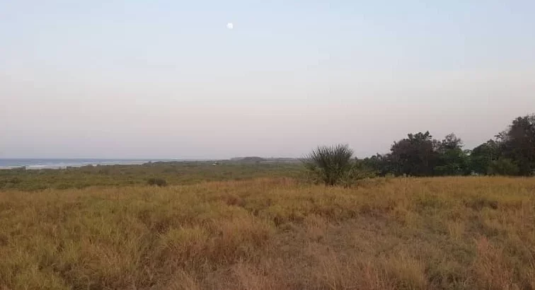 10 ACRES CLIFF-BEACH-FRONT PLOT AT MAPINGA.