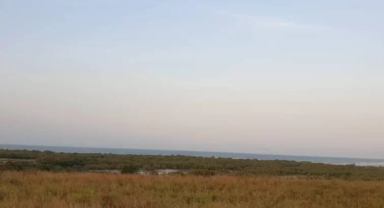 10 ACRES CLIFF-BEACH-FRONT PLOT AT MAPINGA.