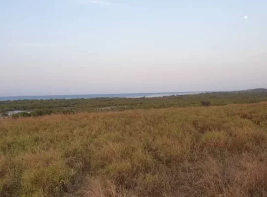 10 ACRES CLIFF-BEACH-FRONT PLOT AT MAPINGA.