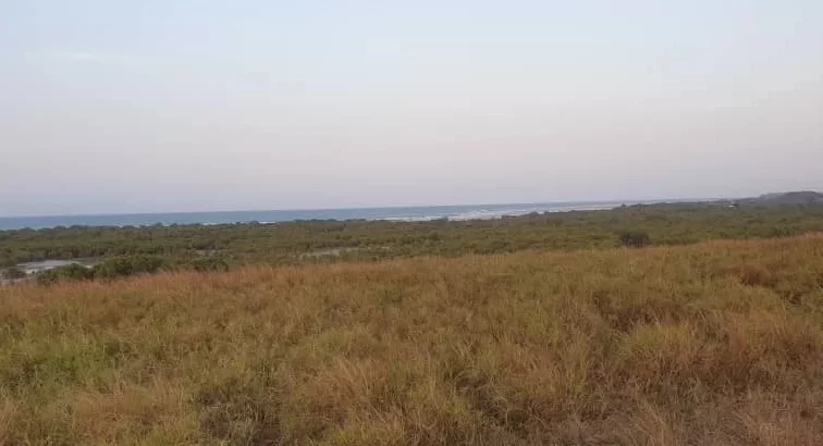 10 ACRES CLIFF-BEACH-FRONT PLOT AT MAPINGA.