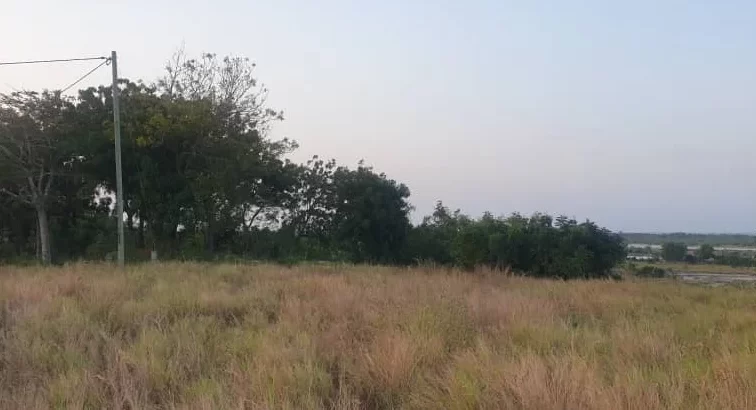 10 ACRES CLIFF-BEACH-FRONT PLOT AT MAPINGA.