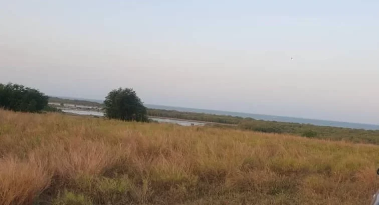 10 ACRES CLIFF-BEACH-FRONT PLOT AT MAPINGA.