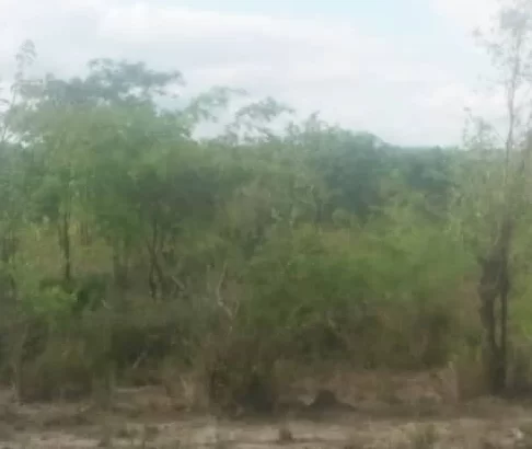 Linauzwa: SHAMBA-PORI,,EKARI 10, TSHS.15 MILIONI