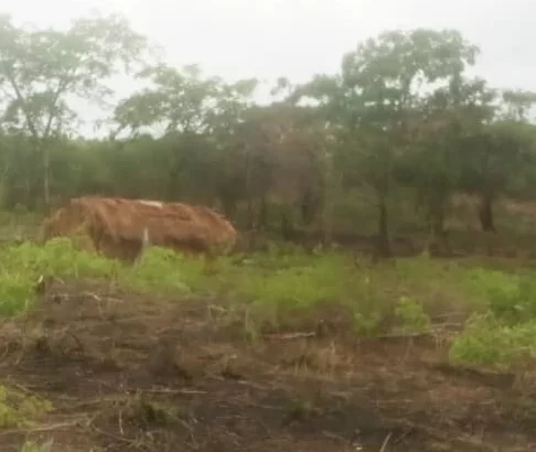 Linauzwa: SHAMBA-PORI,,EKARI 10, TSHS.15 MILIONI