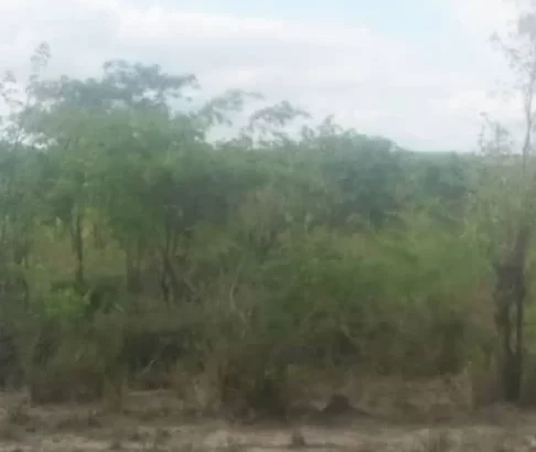 Linauzwa: SHAMBA-PORI,,EKARI 10, TSHS.15 MILIONI