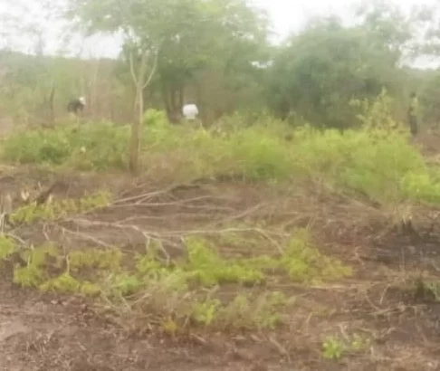 Linauzwa: SHAMBA-PORI,,EKARI 10, TSHS.15 MILIONI