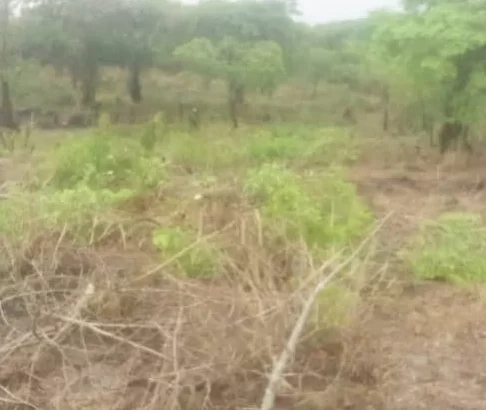 Linauzwa: SHAMBA-PORI,,EKARI 10, TSHS.15 MILIONI