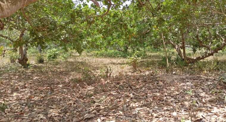 150 ACRES FOR SALE IN MLANDIZI