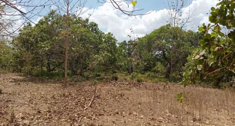 150 ACRES FOR SALE IN MLANDIZI