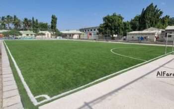 SPORTS ARTIFICIAL TURF (FOOTBALL, PADEL,ETC)