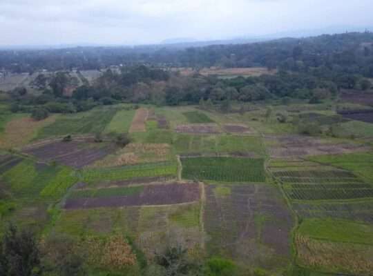 For Sale: 300 ACRES WET FARMLAND, ARUMERU,ARUSHA