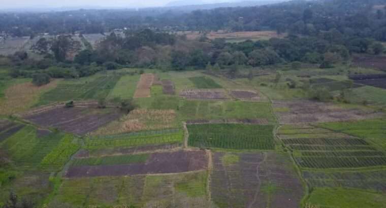 For Sale: 300 ACRES WET FARMLAND, ARUMERU,ARUSHA