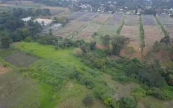 For Sale: 300 ACRES WET FARMLAND, ARUMERU,ARUSHA