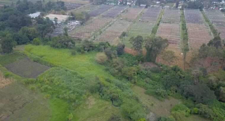 For Sale: 300 ACRES WET FARMLAND, ARUMERU,ARUSHA