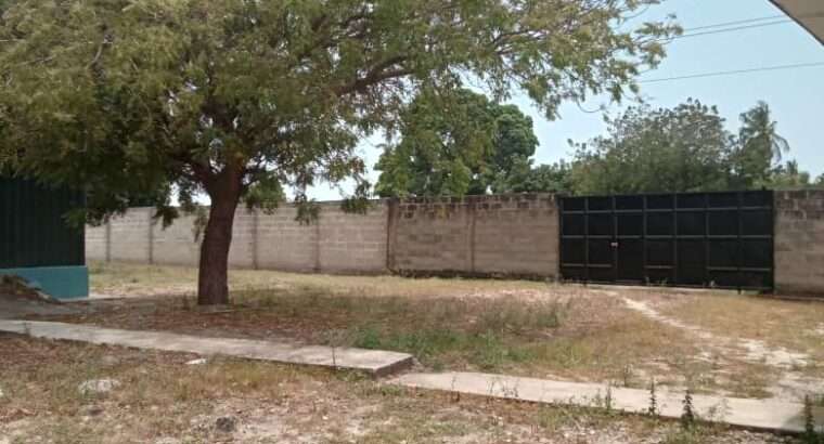 2 GODOWNS ON MAIN ROAD, BAGAMOYO