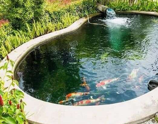 5 BDRMS FURNISHED LUXURIOUS HOME, IN ARUSHA