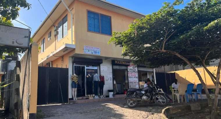 NYUMBA YA BIASHARA (APARTMENT 4) UBUNGO-EXTERNAL