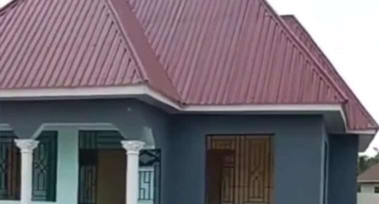 Inauzwa:NYUMBA MPYA, TSHS.55 MILIONI, CHANIKA MW