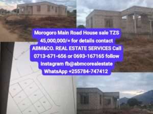 MAIN ROAD MOROGORO PROPERTY SALE AT MKUNDI AREA