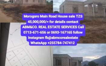 MAIN ROAD MOROGORO PROPERTY SALE AT MKUNDI AREA