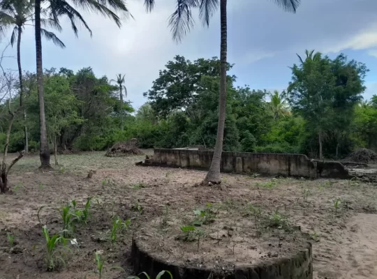 SHAMBA LILILOPIMWA EKARI 8,KIBAHA VISIGA, MAFAFU