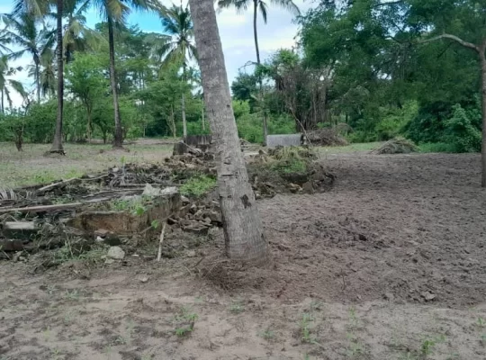 SHAMBA LILILOPIMWA EKARI 8,KIBAHA VISIGA, MAFAFU