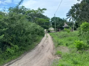 SHAMBA LILILOPIMWA EKARI 8,KIBAHA VISIGA, MAFAFU