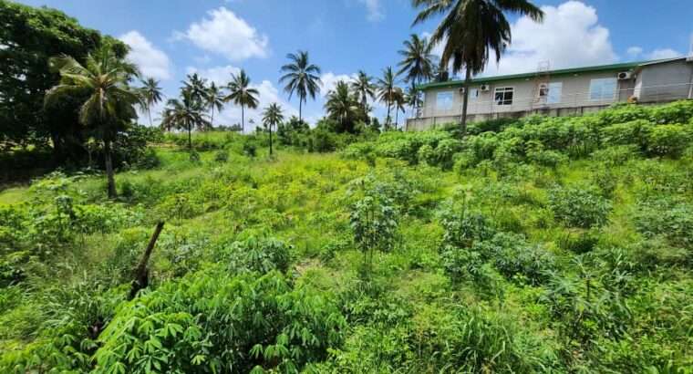 KIWANJA SQM.1200,TSHS.90 MILIONI,GOBA KULANGWA