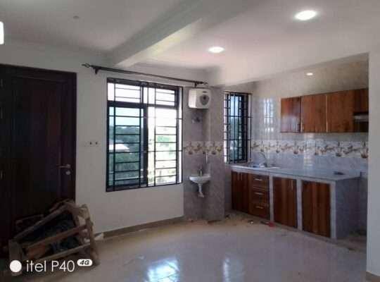 APARTMENT NZURI MPYA YA VYUMBA 2, CHANGANYIKENI