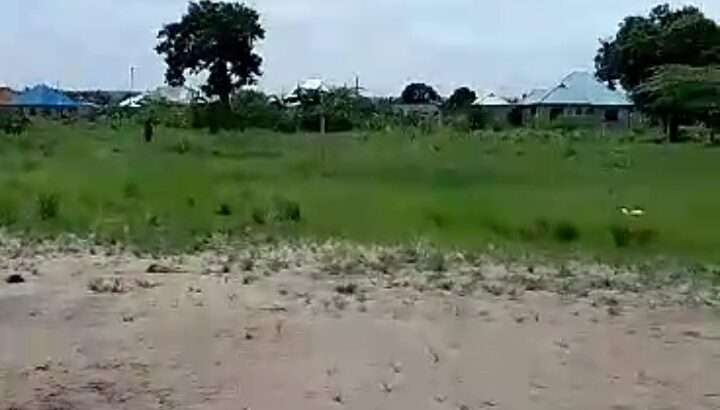 ENEO ZURI, EKARI 3, CHANIKA/ILALA.