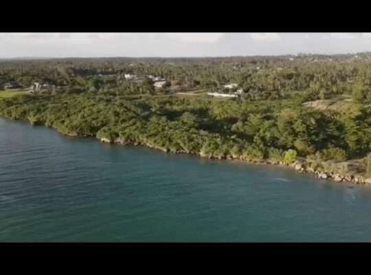 19 ACRES CLIFF-BEACH-LAND AT UZI ZANZIBAR