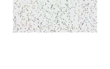 Acoustic Ceiling Mineral fiber tiles for sale