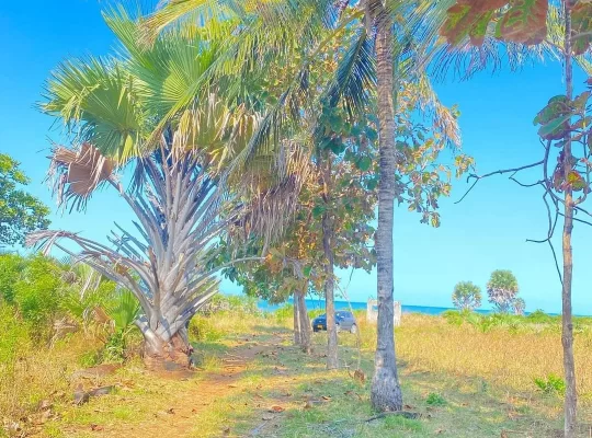 300 ACRES TITLED BEACH LOT AT MAKURUNGE,BAGAMOYO