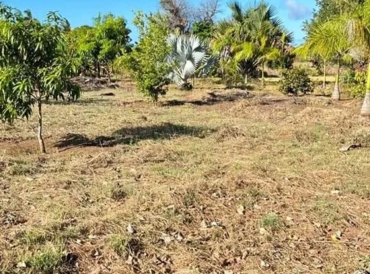 300 ACRES TITLED BEACH LOT AT MAKURUNGE,BAGAMOYO