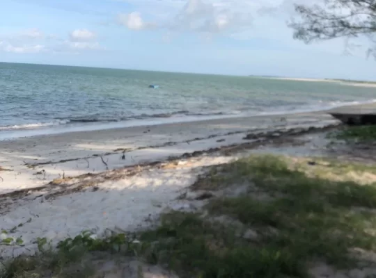 5 ACRES BEACH LAND AT MAPINGA, BAGAMOYO-TANZANIA