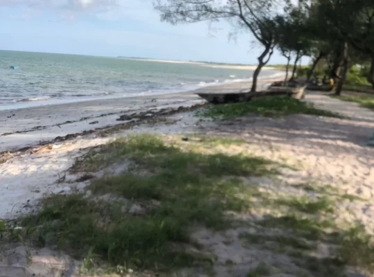 5 ACRES BEACH LAND AT MAPINGA, BAGAMOYO-TANZANIA