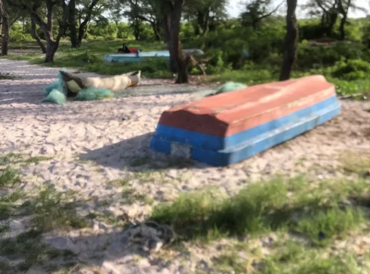 5 ACRES BEACH LAND AT MAPINGA, BAGAMOYO-TANZANIA