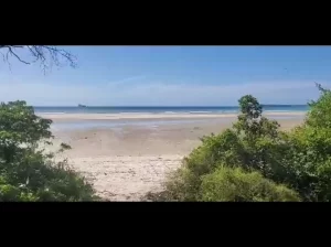 50 ACRES FINE BEACH LAND AT KIBUGUMO, KIGAMBONI